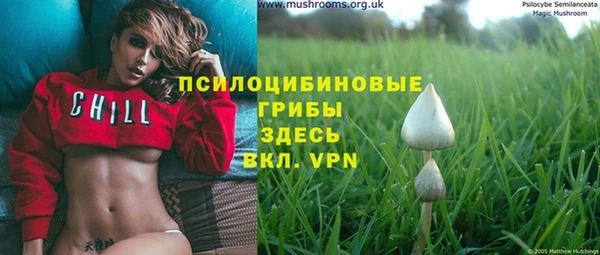 молекула духа Алзамай