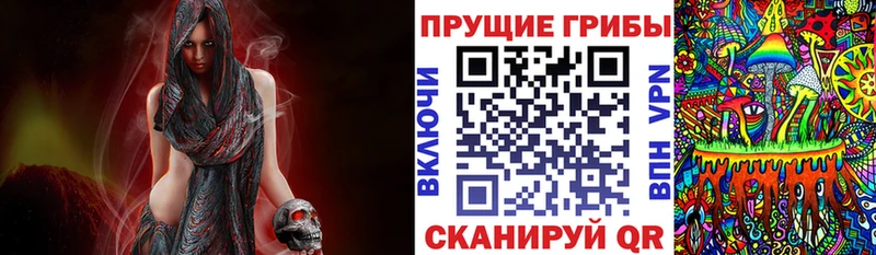 купить наркоту Сорочинск Галлюциногенные грибы Magic Shrooms