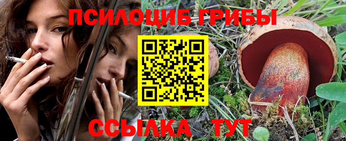 Псилоцибиновые грибы Psilocybe Сорочинск