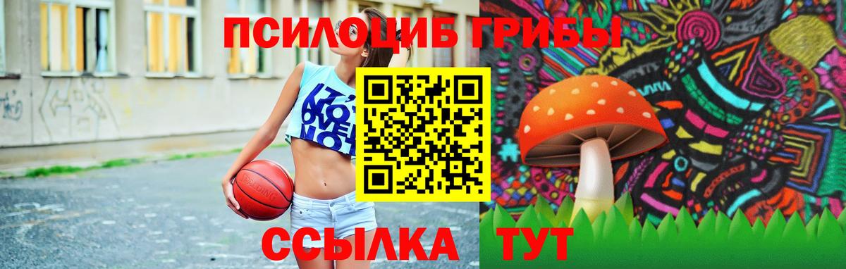 Псилоцибиновые грибы Psilocybe  как найти закладки  Сорочинск  Вход с VPN 
